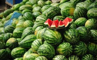 农村吃土瓜视频下载免费,感受乡土风情 第3张 农村吃土瓜视频下载免费,感受乡土风情 第3张